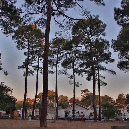 A La Brise Du Ferret Hotel เลเฌอ-แกป-เฟร์เร ภายนอก รูปภาพ